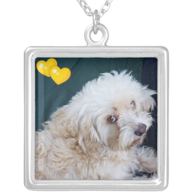 Cute Maltipoo pup valentine necklace (Front)