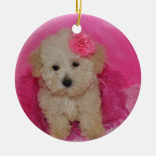 Cute Maltipoo Puppy Ceramic Ornament