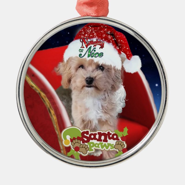 Cute Maltipoo puppy Christmas Ornament  (Front)