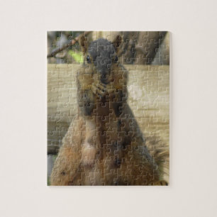 Cute Mama Squirrel eating Nuts Jigsaw Puzzle
