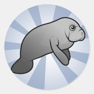 Cute Manatee Classic Round Sticker