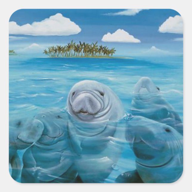 Cute Manatee Glossy Stickers Square (Front)