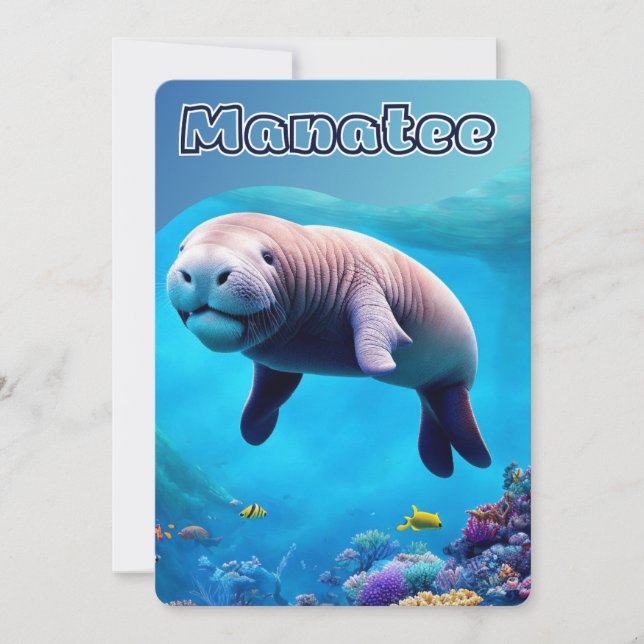 Cute Manatee in deep ocean, Florida, Postcard (Front)