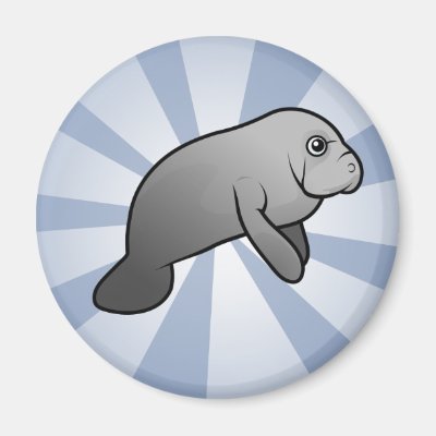 Cute Manatee Magnet