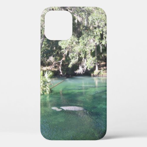 Cute Manatees Swimming Blue Springs Florida iPhone 12 Case