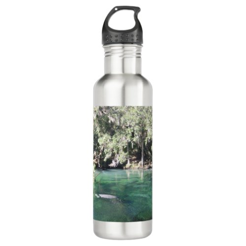 Cute Manatees Swimming Florida Stainless Steel Water Bottle