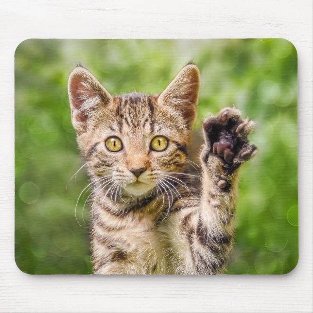 Cute Maneki Neko Cat Kitten Funny Beckoning Pose Mouse Pad (Front)