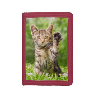 Cute Maneki Neko Cat Kitten Funny Beckoning Pose - Tri-fold Wallet