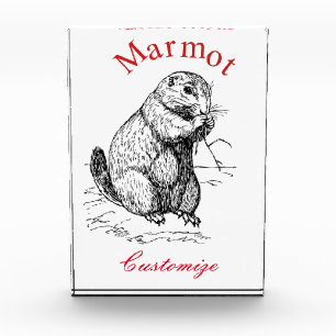Cute Marmot Animal Thunder_Cove Acrylic Award