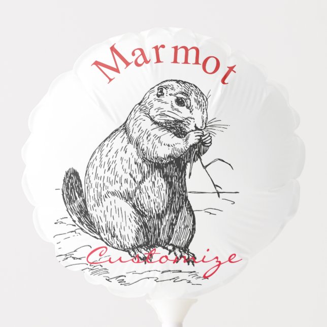 Cute Marmot Animal Thunder_Cove Balloon (Front)