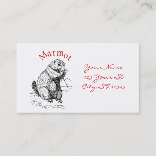 Cute Marmot Animal Thunder_Cove Business Card