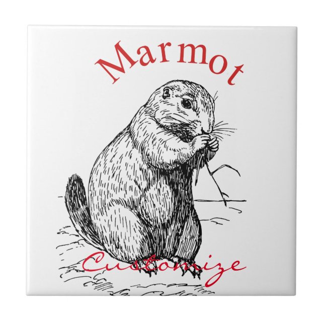 Cute Marmot Animal Thunder_Cove Ceramic Tile (Front)