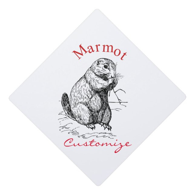 Cute Marmot Animal Thunder_Cove Graduation Cap Topper (Front)