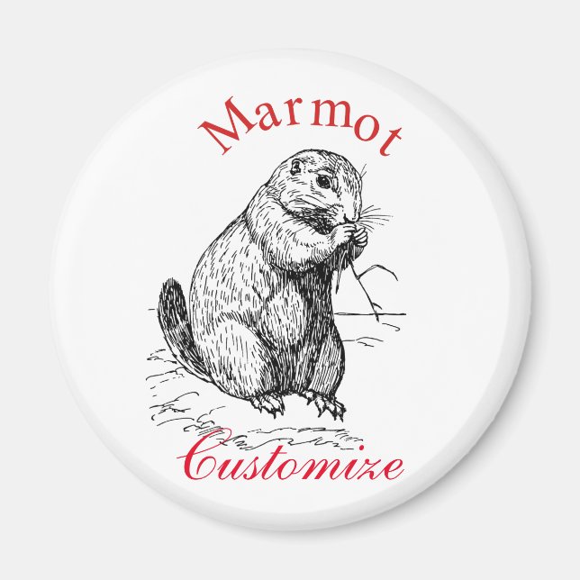 Cute Marmot Animal Thunder_Cove Magnet (Front)