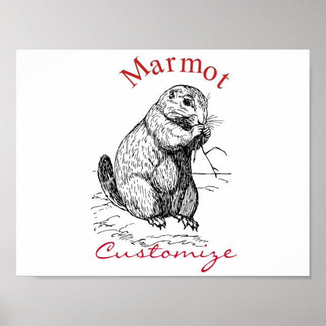 Cute Marmot Animal Thunder_Cove Poster (Front)