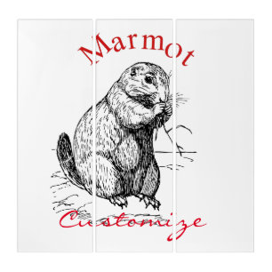 Cute Marmot Animal Thunder_Cove Triptych