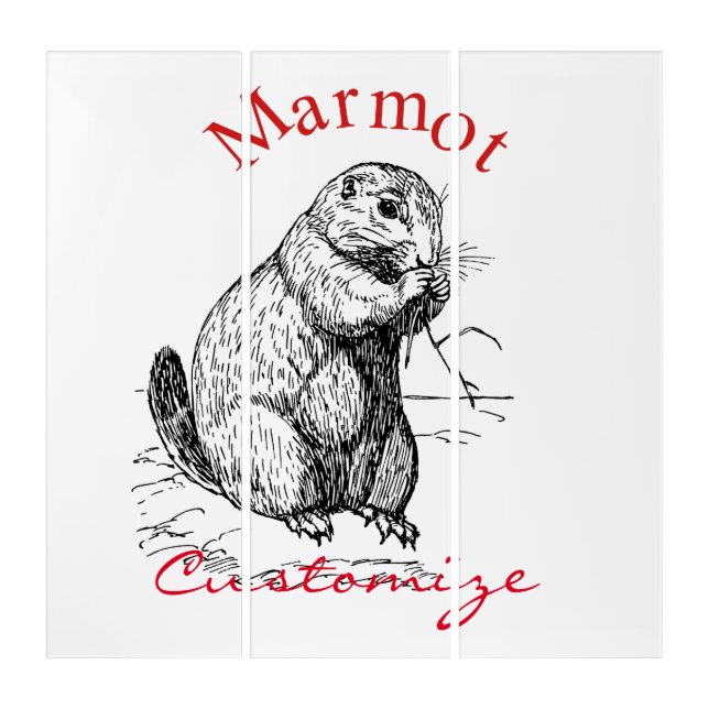 Cute Marmot Animal Thunder_Cove Triptych (Front)