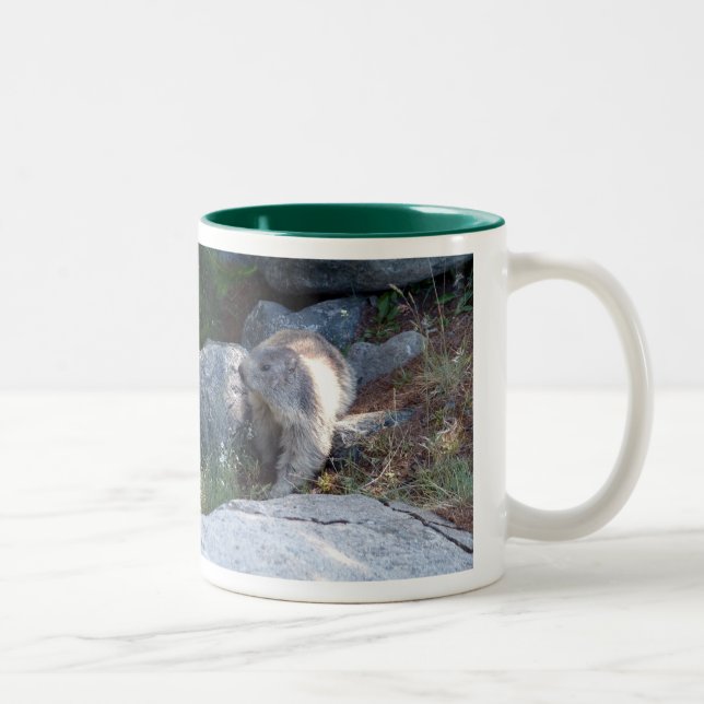 Cute marmot -- Swiss mug (Right)