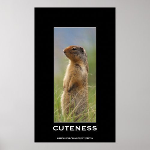 Cute Marmot  Wildlife Motivational Photo Poster