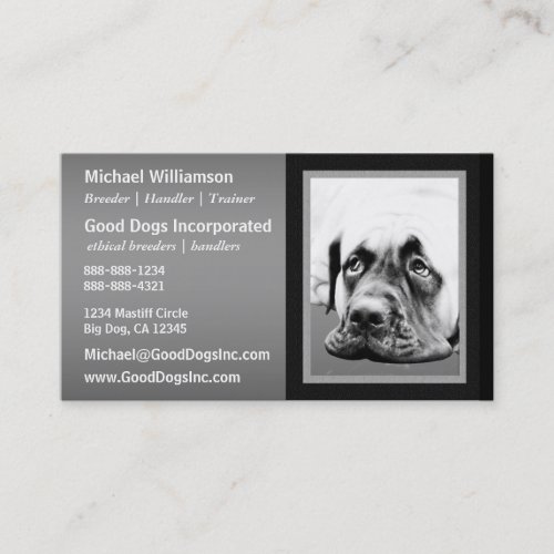 Cute Mastiff dog Business Card