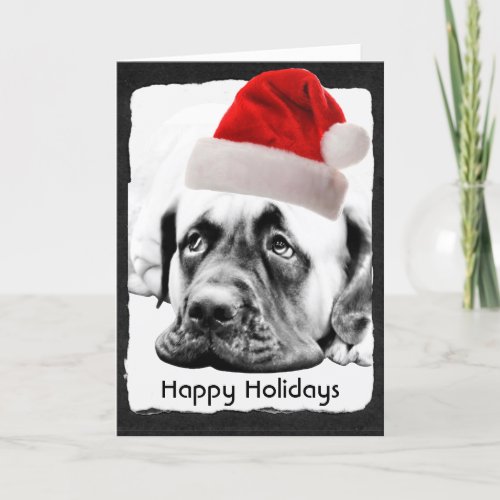 Cute Mastiff dog Holiday Card