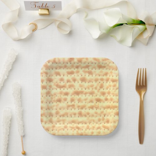 Cute Matzo Passover Design 4Sarah Paper Plates