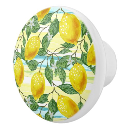 Cute Mediterranean Summer Lemon Fruit Art Pattern Ceramic Knob