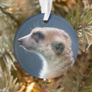 Cute Meerkat Circular Christmas Ornament