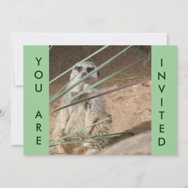 Cute Meerkat Invitation (Front)