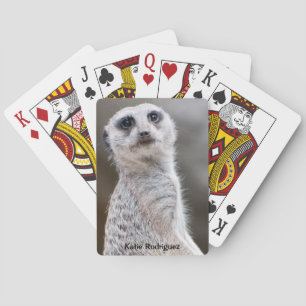 Cute Meerkat Looking at You Personalized Poker Cards
