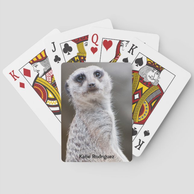 Cute Meerkat Looking at You Personalized Poker Cards (Back)