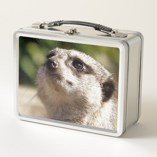 CUTE MEERKAT METAL LUNCH BOX (Front)