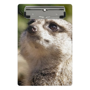 CUTE MEERKAT MINI CLIPBOARD