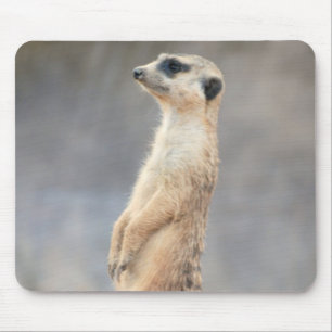 Cute Meerkat  Mouse Pad
