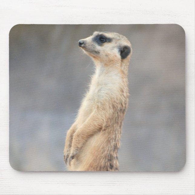 Cute Meerkat  Mouse Pad (Front)