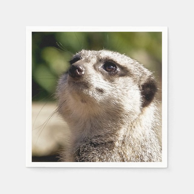 CUTE MEERKAT NAPKINS (Front)