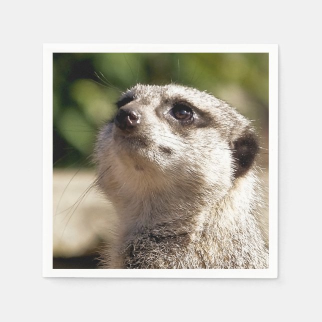 CUTE MEERKAT NAPKINS (Front)