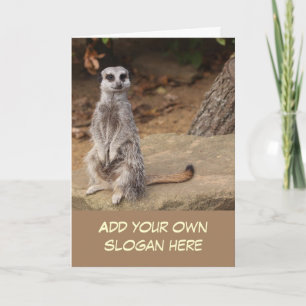 Cute Meerkat Photo to Customize Yourself Card