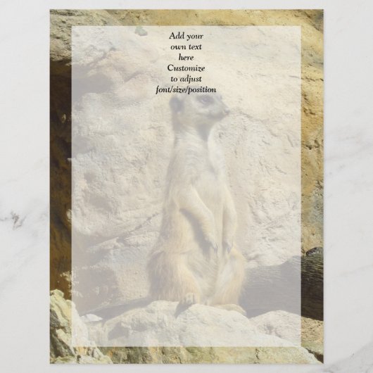 Cute meerkat photograph (Front)