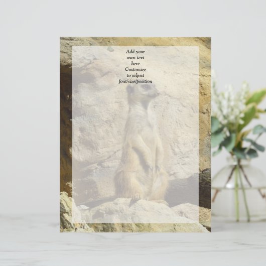 Cute meerkat photograph (Standing Front)