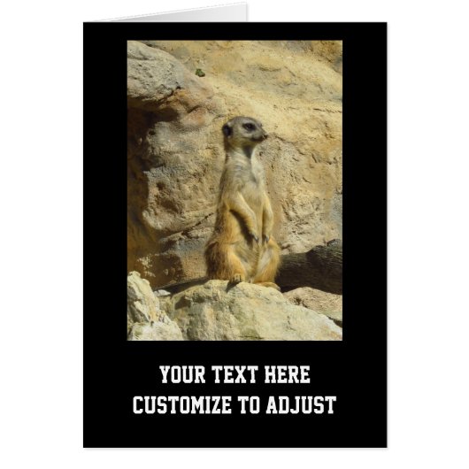 Cute meerkat photograph cards (Front)