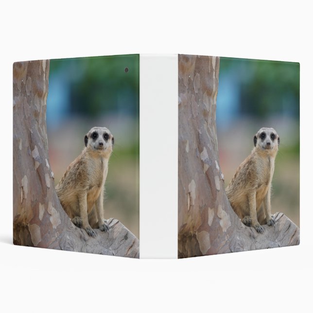 Cute Meerkat Sat on Tree 3 Ring Binder (Background)