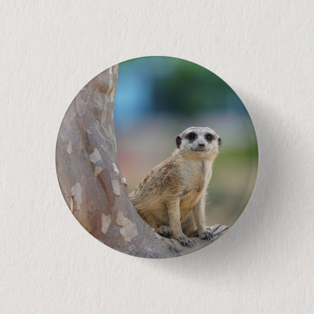 Cute Meerkat Sat on Tree Button (Front)