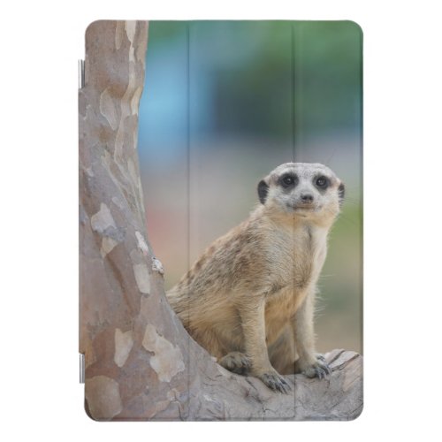Cute Meerkat Sat on Tree iPad Pro Cover
