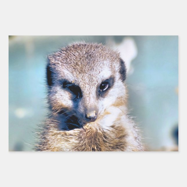CUTE MEERKAT  WRAPPING PAPER SHEETS (Front)