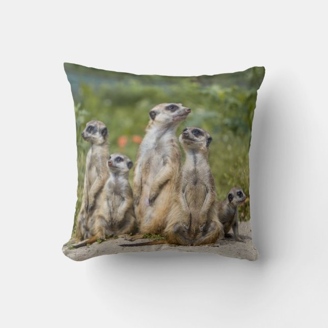 Cute Meerkats Throw Pillow (Front)