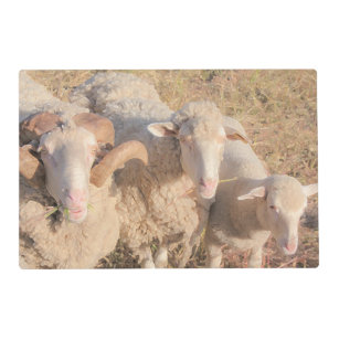 Cute Merino Sheep Family Animals Lamb Placemat