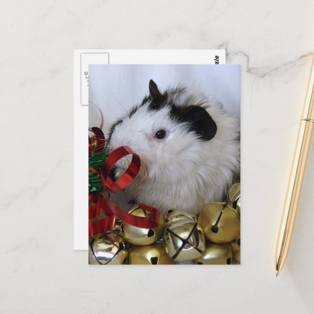 Cute Merry Christmas Baby Guinea Pig Postcard (Front/Back In Situ)