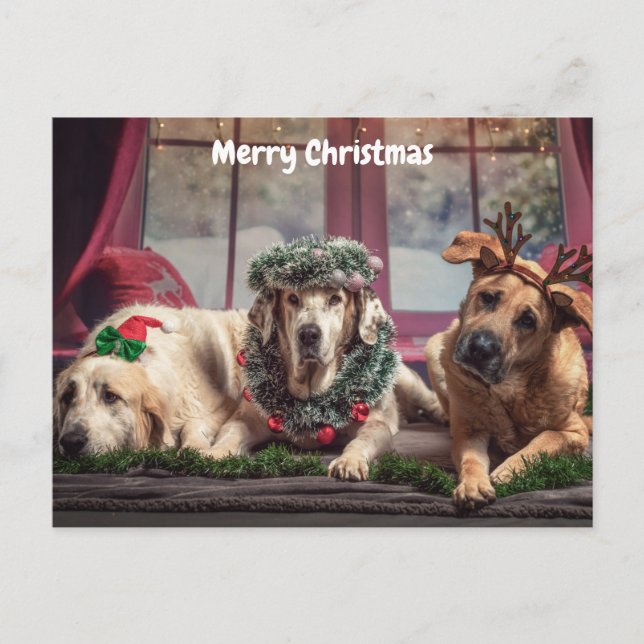 Cute Merry Christmas Dogs Holiday Postcard (Front)