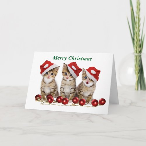 Cute Merry Christmas Kittens Holiday Card